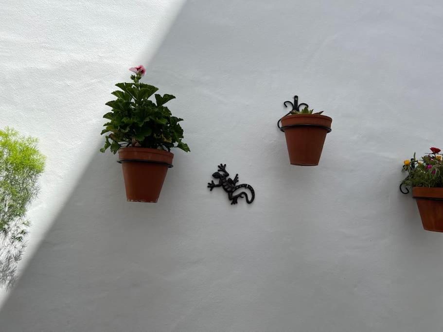 Casa Encantadora Olvera Exterior foto